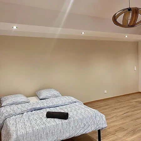 Moderne Avec 3 Barbecue Et Grande Terrasse Feyzin